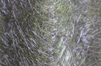 North Aston fibreglass roof work